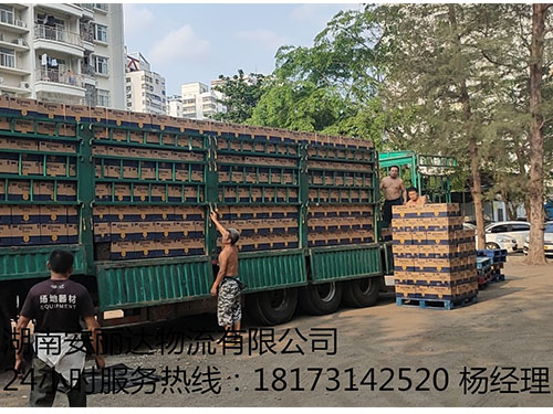 &#112;&#103;&#30005;&#23376;&#27169;&#25311;&#22120;&#40;&#35797;&#29609;&#28216;&#25103;&#41;&#23448;&#26041;&#32593;&#31449;